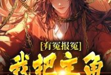 有冤报冤，我把主角宠刀尖大结局，顾长清小说无广告阅读-木头文学