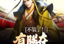 主人公是赢子婴的小说大秦:三岁圣孙,我教始皇打天下免费阅读-木头文学