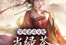 乔挽颜最新章节胡说，她才不是坏女人！免费阅读-木头文学