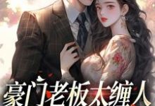 豪门老板太缠人，为她折腰为她疯免费阅读，沈雾徐宴行大结局无弹窗-木头文学