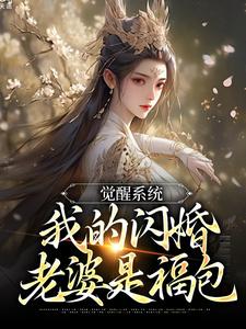 觉醒系统，我的闪婚老婆是福包免费阅读，叶孤江怜儿大结局无弹窗