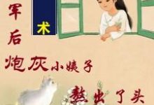 姐随军后，炮灰小姨子熬出了头（主角吴妮妮叶泽川）完结版免费阅读-木头文学