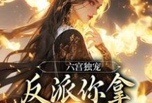 六宫独宠，反派你拿什么和我斗大结局，谢淑华小说无广告阅读-木头文学