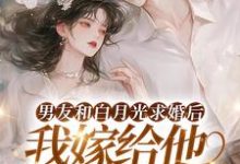男友和白月光求婚后，我嫁给他死对头免费阅读(宋颜)小说免费读最新章节-木头文学
