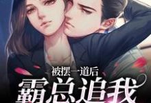 被摆一道后，霸总追我火葬场免费阅读(池浅顾锦城)小说免费读最新章节-木头文学