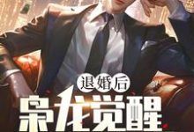 退婚后，枭龙觉醒，镇压当世免费阅读，楚风甄姬大结局无弹窗-木头文学
