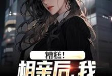 小说糟糕!相亲后,我被女总掳进门主角陈楚河免费阅读-木头文学