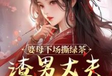婆母下场撕绿茶，渣男丈夫被赶出家小说资源求分享，婆母下场撕绿茶，渣男丈夫被赶出家杜英箫牧尧在线阅读-木头文学