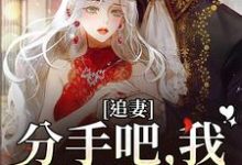 完结版追妻：分手吧，我不哄你了在哪免费看，谈祈深颜缦小说在线阅读-木头文学