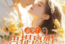 亲哭！再提离婚，霍总彻底失控了（苏暖霍云琛）最新章节免费阅读-木头文学