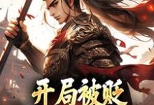 求助这本开局被贬，我要掠夺江山小说在哪里可以看完结版-木头文学