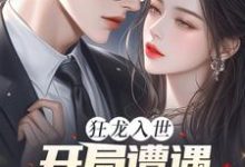 狂龙入世，开局遭遇绝色未婚妻大结局，苏逸沈清月小说无广告阅读-木头文学