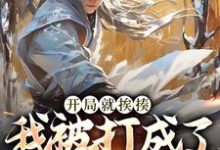 开局就挨揍，我被打成了武林至尊（主角叶青）完结版免费阅读-木头文学