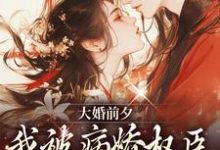小说大婚前夕，我被病娇权臣强取豪夺了（裴砚忱姜映晚）最新章节在哪看-木头文学