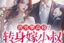 求助这本渣男攀高枝?转身嫁小叔被宠哭小说在哪里可以看完结版-木头文学