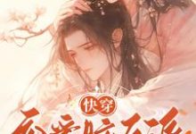 完结版快穿：恋爱脑反派不接受BE剧本在哪免费看，戴柯墨枭小说在线阅读-木头文学