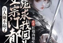 主角是魏芷殊的小说万人嫌不舔了,全宗门都跪求我回头在哪免费看-木头文学