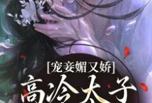 宠妾媚又娇，高冷太子为她失了魂精彩章节在线免费阅读（宁宁萧璲）-木头文学