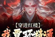 穿进红楼，我贾环精通朝堂争斗免费阅读(贾环)小说免费读最新章节-木头文学