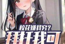 完结版校花嫌我穷?拜托我可是真神豪在哪免费看,张凡小说在线阅读-木头文学