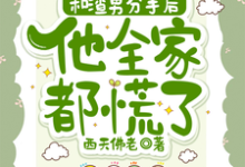秦昭温书齐小说的结局在哪可以看，和渣男分手后，他全家都慌了免费阅读完结版-木头文学