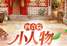 四合院：小人物许大茂小说资源求分享，四合院：小人物许大茂许大茂娄晓娥在线阅读-木头文学
