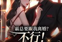 明姝在线阅读，霸总要跟我离婚？不行！我身无分文小说完结版章节-木头文学