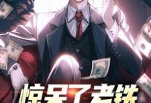 求助这本惊呆了老铁，他又被提拔了小说在哪里可以看完结版-木头文学
