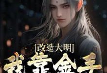 小说改造大明：我靠金手指夺江山主角朱高炽免费阅读-木头文学
