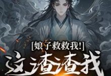小说娘子救救我！这渣渣我虐不完主角司寻免费阅读-木头文学