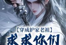 穿成护家老祖，求求你们积点德吧免费阅读，秦禾柳青元大结局无弹窗-木头文学
