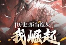 历史：拒当炮灰，我崛起收复河山完结版王克张煌言免费阅读大结局-木头文学