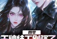 四零：王牌特工别骚了，敌军都怕了免费阅读(柳龙)小说免费读最新章节-木头文学