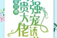 宝贝乖：高贵大佬在强宠诱哄无弹窗 简以宁陆怀瑾最新章节列表-木头文学