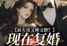完结版前夫哥又帅又撩？现在复婚来得及吗在哪免费看，安婳肖政小说在线阅读-木头文学