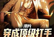 主角是李耀丁瑶的小说港片：穿成顶级打手，爆兵称霸港岛在哪免费看-木头文学