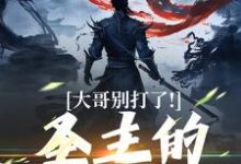 小说大哥别打了！圣主的心都碎了主角陈寻免费阅读-木头文学