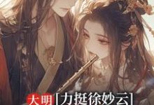 主人公是黄易徐妙云的小说大明：力挺徐妙云，干翻朱棣免费阅读-木头文学