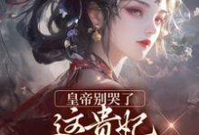 求助这本皇帝别哭了，这贵妃我不稀罕当小说在哪里可以看完结版-木头文学