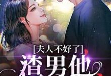 小说夫人不好了！渣男他要求爱（黎岁霍砚舟）最新章节在哪看-木头文学