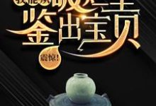 震惊！我能从破烂里鉴出宝贝！最新章节震惊！我能从破烂里鉴出宝贝！在线阅读-木头文学