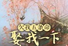 欠我五条命，娶我一下怎么了？最新章节欠我五条命，娶我一下怎么了？在线阅读-木头文学