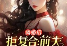 沈寒星最新章节列表离婚后拒复合：前夫儿子悔断肠免费阅读-木头文学