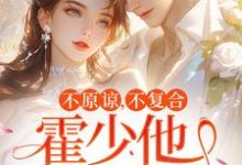 不原谅，不复合，霍少他觊觎我大结局，苏眠小说无广告阅读-木头文学