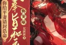 小说你给平妻请封诰命，我奉旨和离你哭啥？（陆知苒）最新章节在哪看-木头文学