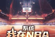 系统：我在NBA把把都超神大结局，林浩科比小说无广告阅读-木头文学