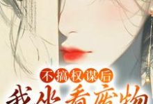 求助这本不搞权谋后，我坐看废物儿女作死小说在哪里可以看完结版-木头文学