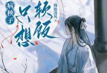 病秧子一心只想吃软饭（江叙白安织桐）最新章节免费在线阅读-木头文学