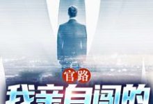 官路：我亲自闯的谁敢拦无弹窗陆一鸣唐晓婉最新章节列表-木头文学