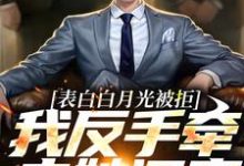 求助这本表白白月光被拒，我反手牵走她闺蜜小说在哪里可以看完结版-木头文学